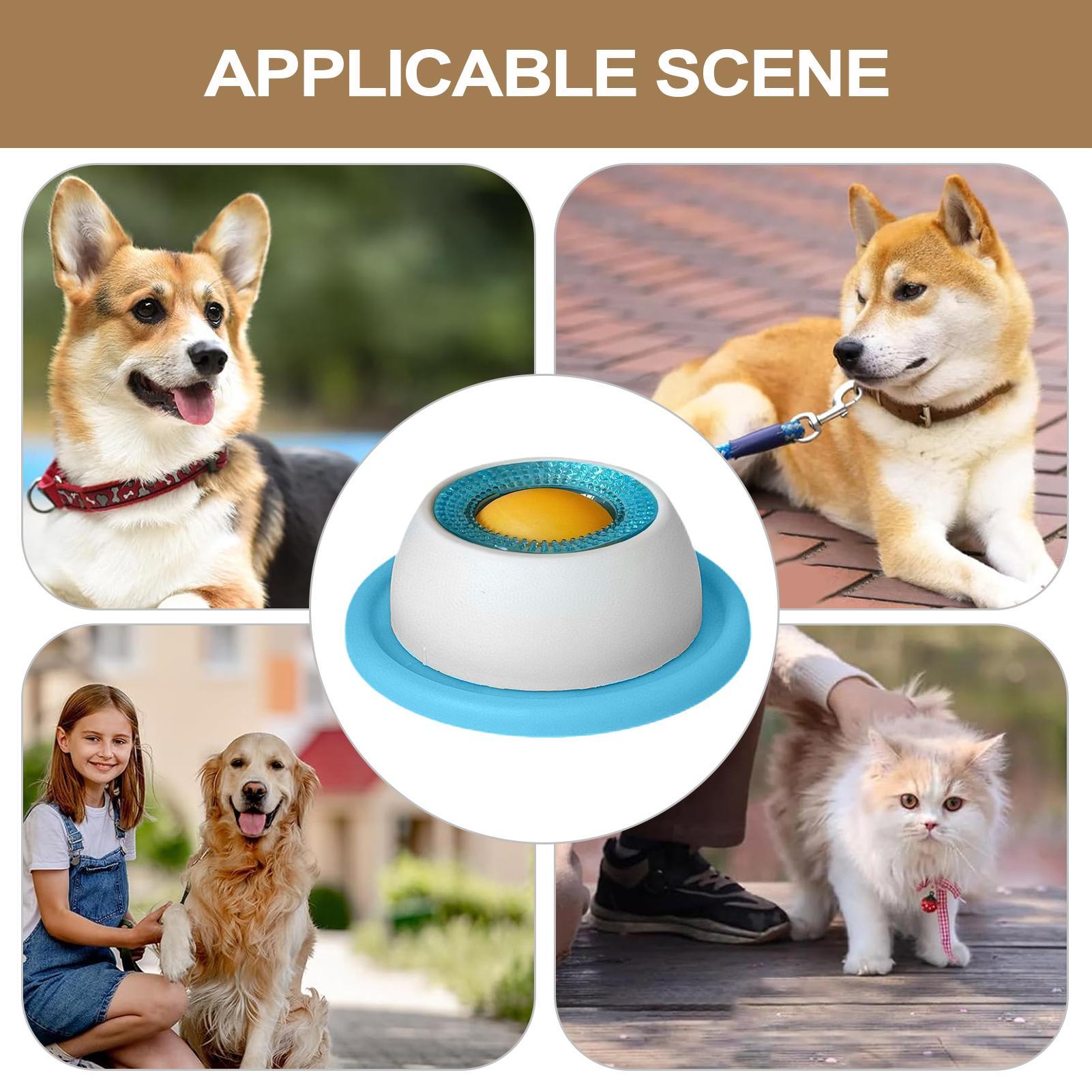 Köpek Ödül Oyuncağı Evcil Hayv - Health Wellness Items incelemesi ve fiyatı