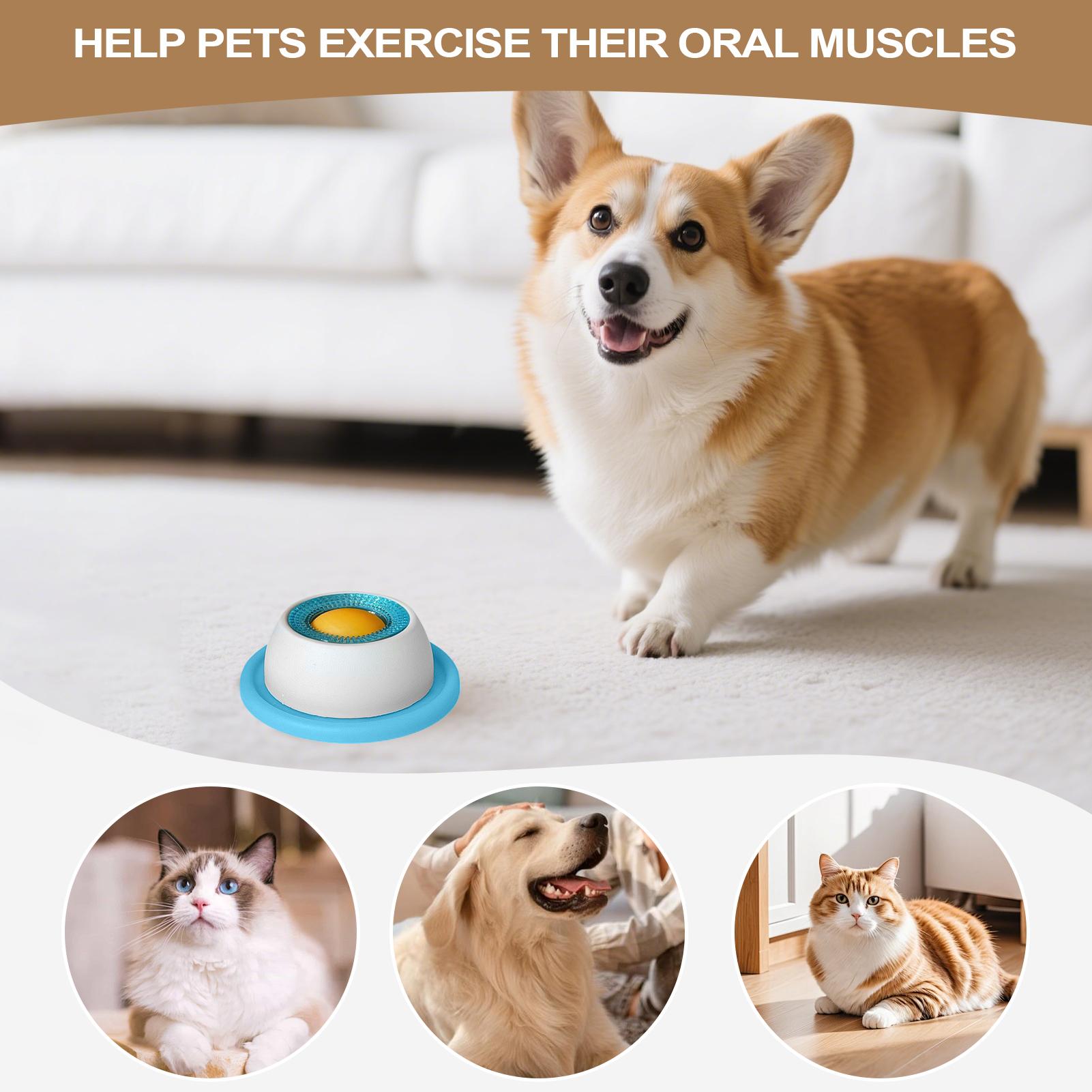 Köpek Ödül Oyuncağı Evcil Hayv - Health Wellness Items incelemesi ve fiyatı
